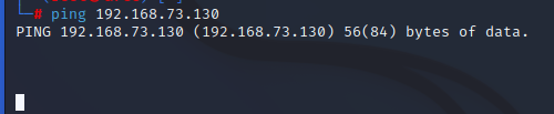 image-20230828102811285