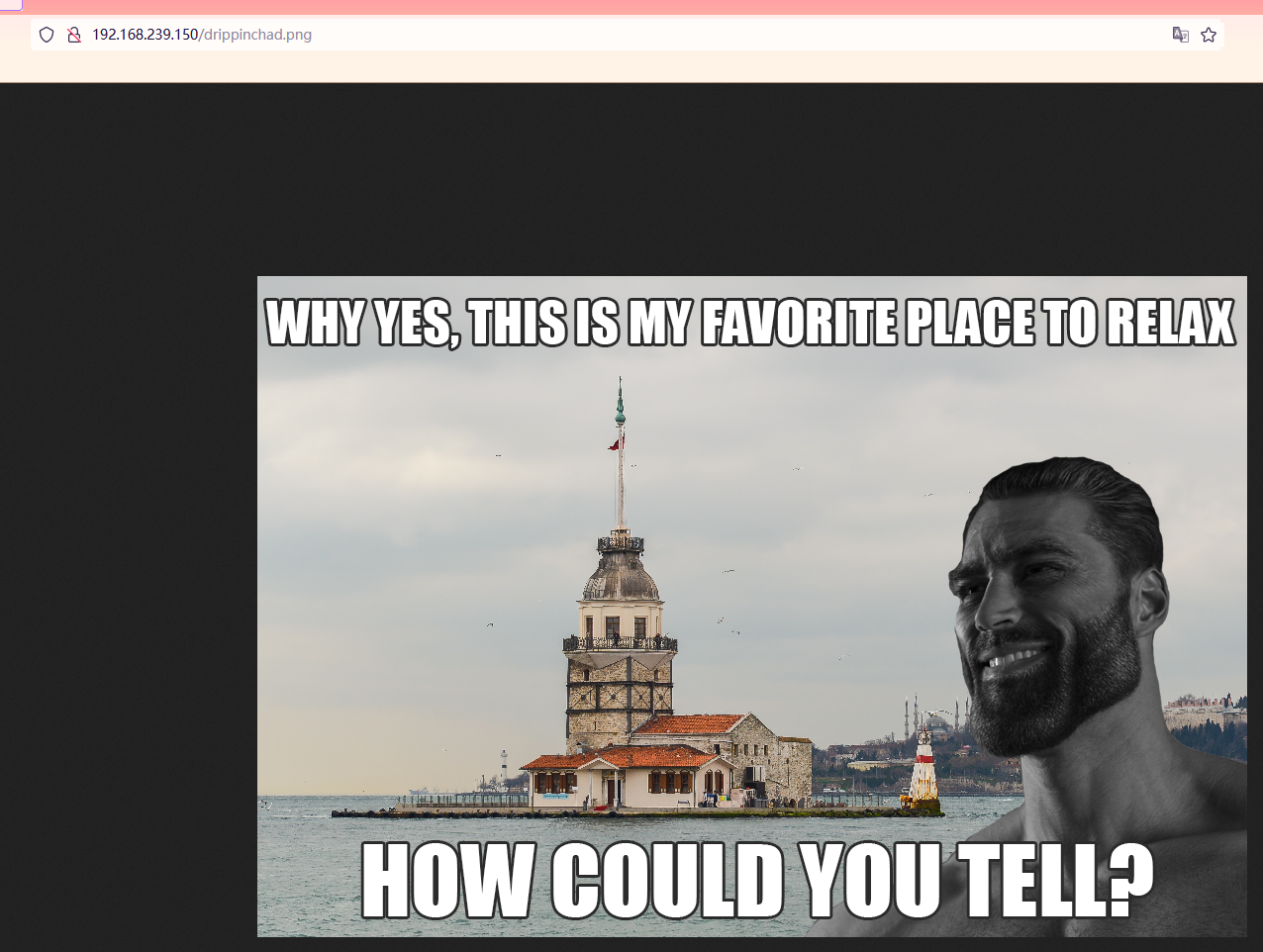 image-20221114162032544