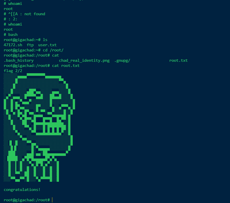 image-20221114165419048